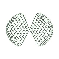 바디·체형 관리